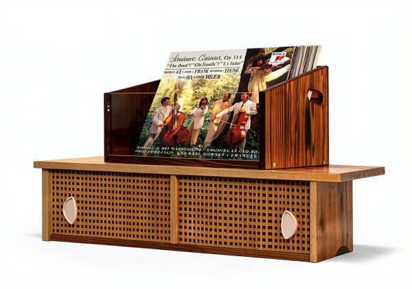 GRETJOB Vinyl Record Storage Box Acrylic Portable-6
