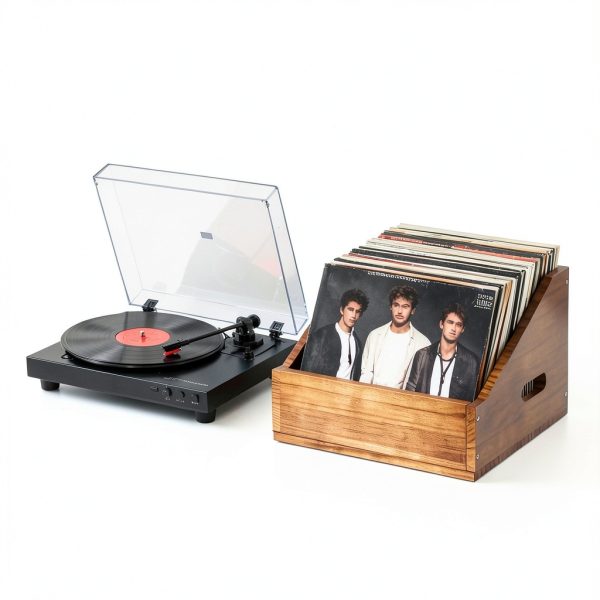 Vinyl Record Crate DNTYUISS Solid Wood Organizer-2